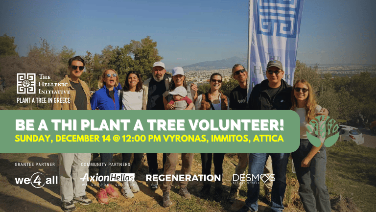 Tree Planting Project, Immitos, Attiki - December 2025 