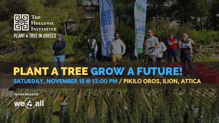 Tree Planting Project, Pikilo Oros, Attiki - November 2025 